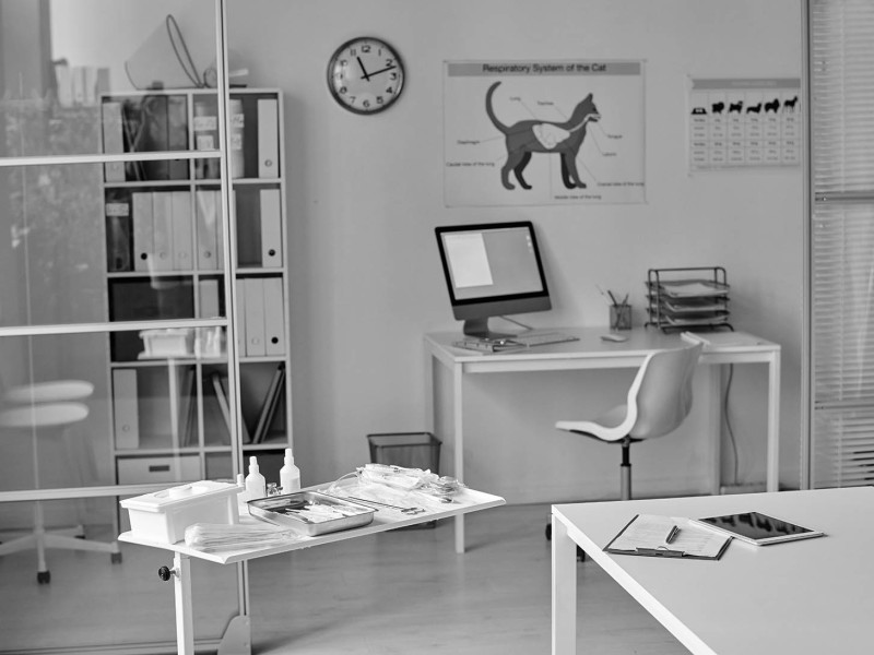 VKS Protección Datos · Clínicas Veterinarias